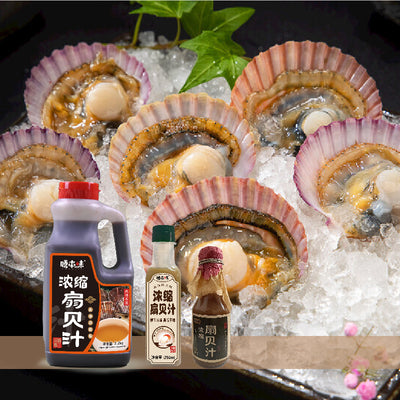 Concentrated Scallops Extracts